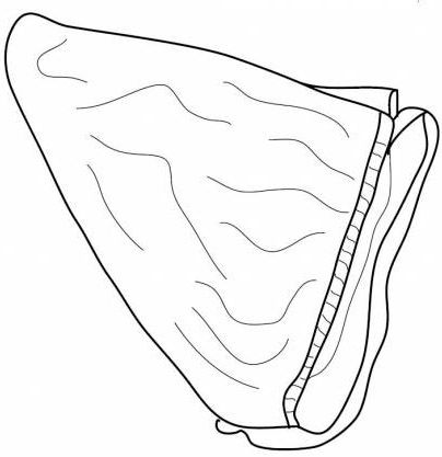 Mesh cover 40105363 (Urban Glide 2 Bassinet) 670:500 - Фото