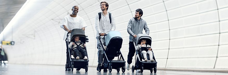 Серия Thule Shine